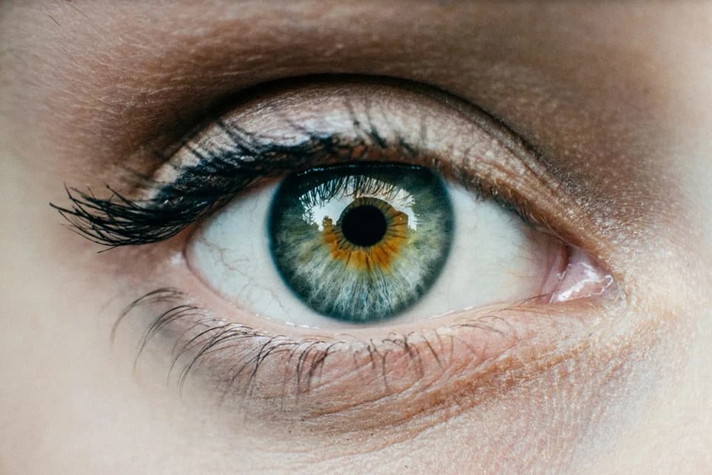 Close-up of a human eye used for diabetes screening.